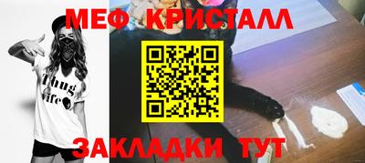 стафф Кингисепп