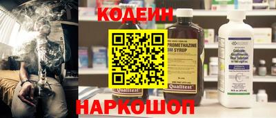 стафф Кингисепп