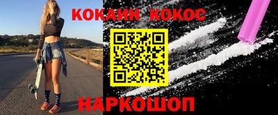 стафф Кингисепп
