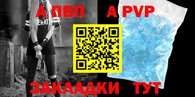 стафф Кингисепп