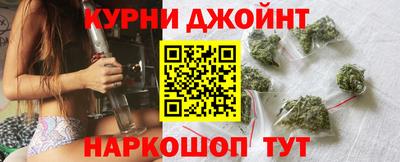 стафф Кингисепп