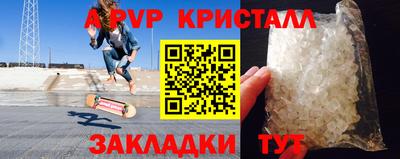 стафф Кингисепп