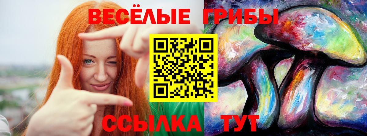 Краснокаменск  Галлюциногенные грибы MAGIC MUSHROOMS  Вход с VPN 